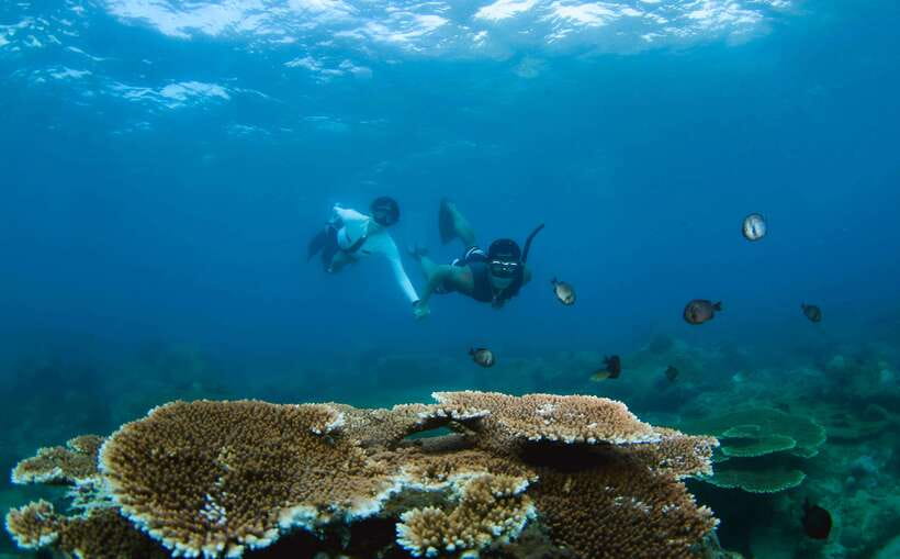 Semporna: Explore 3 Islands Tour Snorkel or Dive & Lunch - The lunch stop and what to expect from the timing