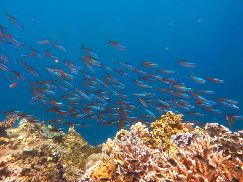 Semporna: Mabul and Kapalai Trip in Snorkel or Dive & Lunch - The short ride to Kapalai