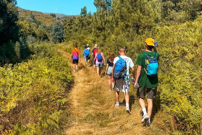 Serra D’Arga Hike, Dive & Dine Like A Local in a Secret Spot - What makes this outing worth your afternoon