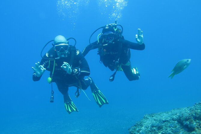 Sesimbra Dive Discovery - The speedboat ride adds a sense of place