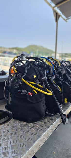 Sesimbra: First Scuba Diving Experience in the Ocean - About 40 minutes among marine life
