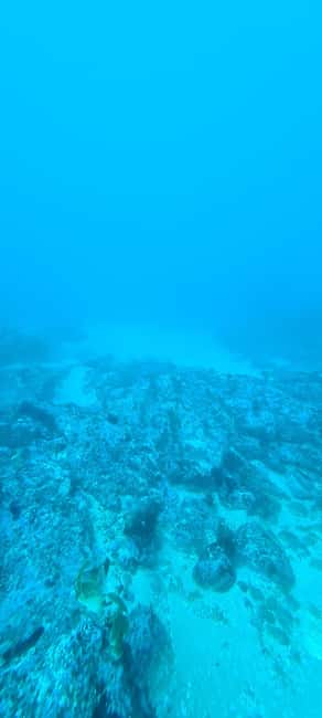 Sesimbra: First Scuba Diving Experience in the Ocean - Back on shore: a sweet, shower, and certificate