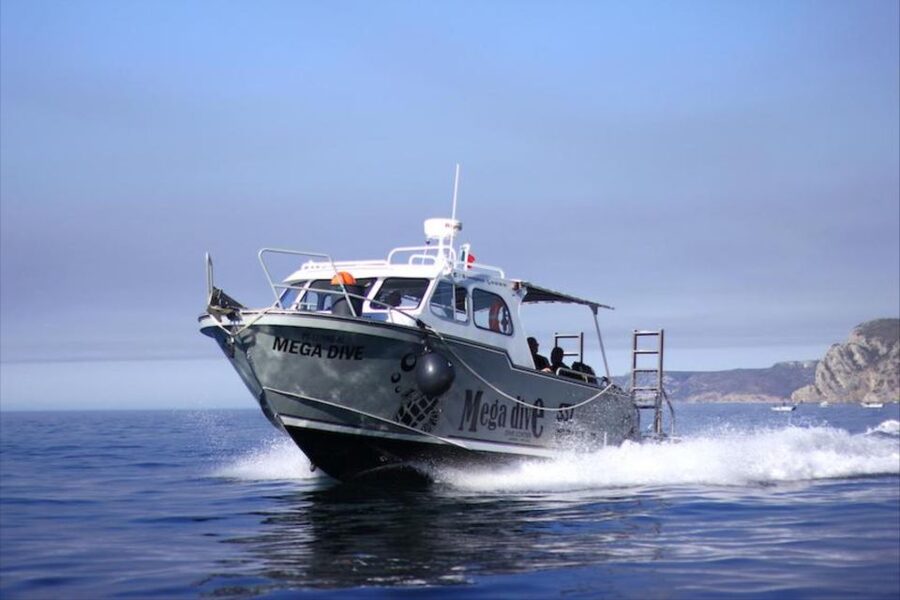 Sesimbra: First Scuba Diving Experience in the Ocean - Who will enjoy this experience most?