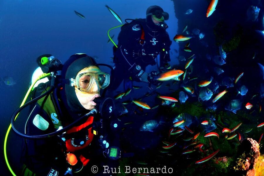 Sesimbra: Scuba Diving Experience for Beginners - Calm, shallow water for your first underwater session