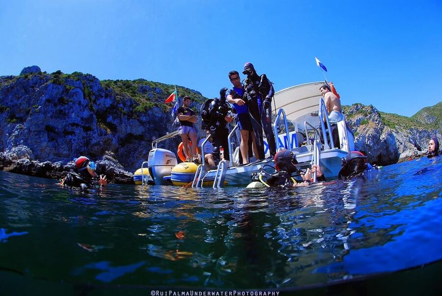 Sesimbra: Scuba Diving Experience for Beginners - What the $116 price includes