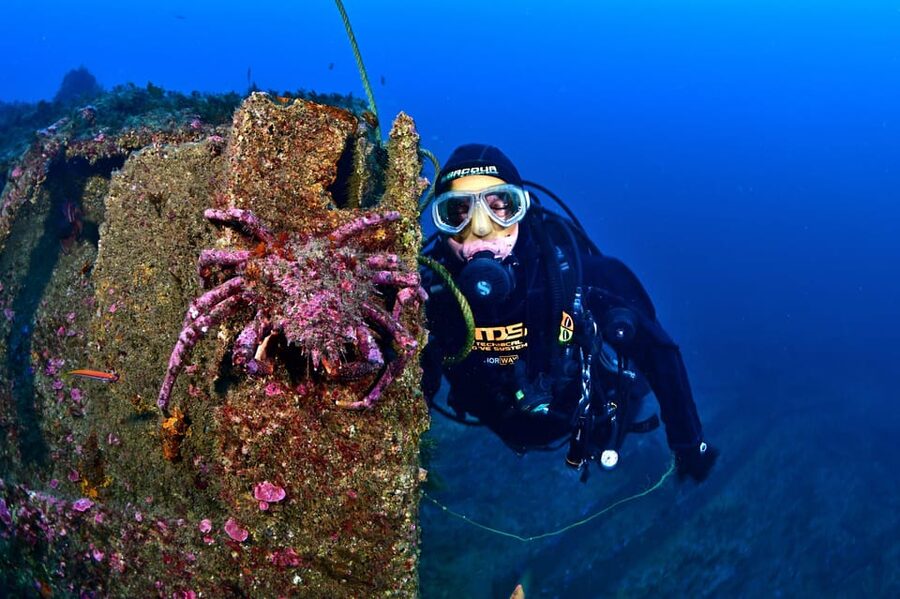 Sesimbra: Scuba Diving Experience for Beginners - Who should book this Sesimbra activity?