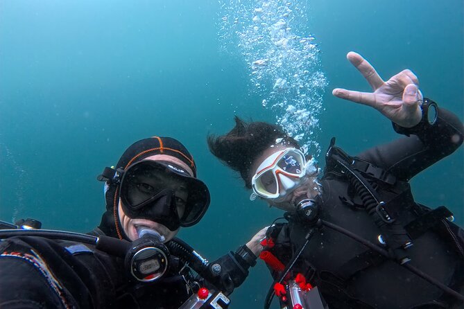 Shared Scuba Diving Trip in Kushimoto - Who will enjoy this experience most
