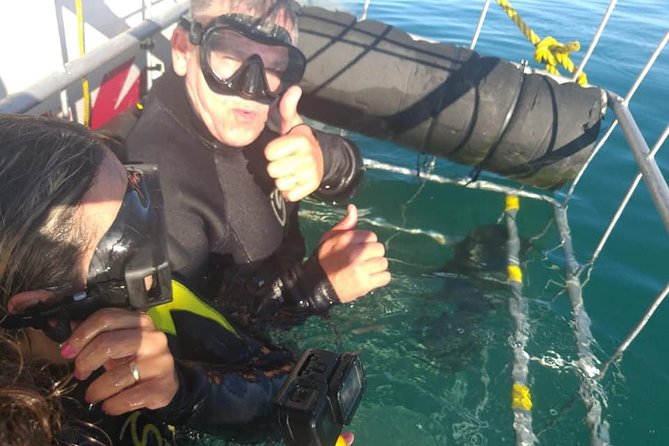 Shark Cage Diving - Three Ways to See the Sharks