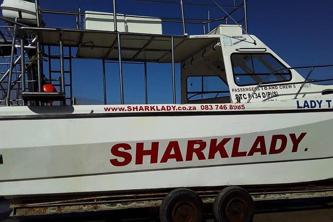 Shark Cage Diving - The Floating Cage and Its Four-Person Limit