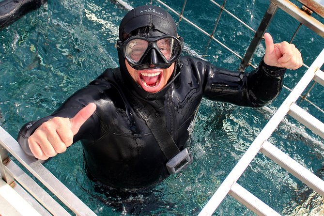 Shark Cage Diving and Viewing with transport from Cape Town - The real adventure begins before sunrise