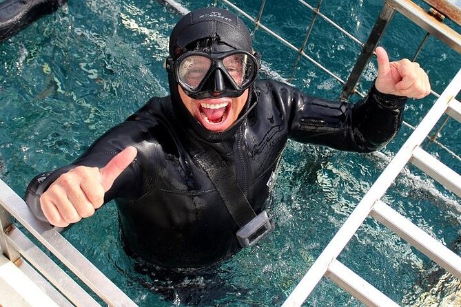 Shark Cage Diving and Viewing with transport from Hermanus - Who will enjoy this tour most?