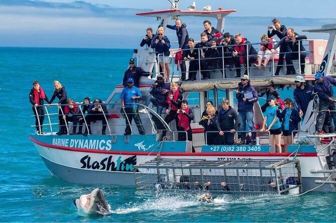 Shark Cage Diving with transport from Cape Town - Breakfast, snacks, and photo service onboard