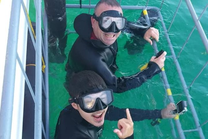 Shark Cage Diving - What makes the small group worth paying for