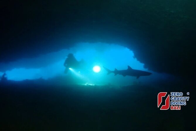 Shark Cave diving at Tangked Taked and Biaha Shark Caves - Why Tangked and Biaha are for confident scuba divers