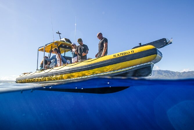 Shark-Dive Tour on Oahu's North Shore - How much time do you get in the water?