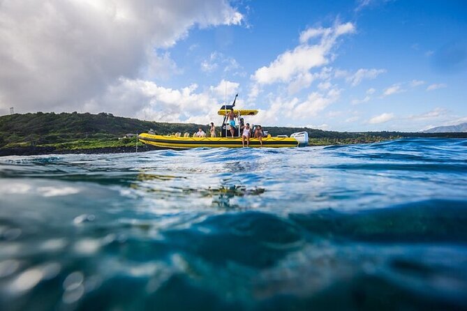 Shark-Dive Tour on Oahu's North Shore - Is $135 a fair price?