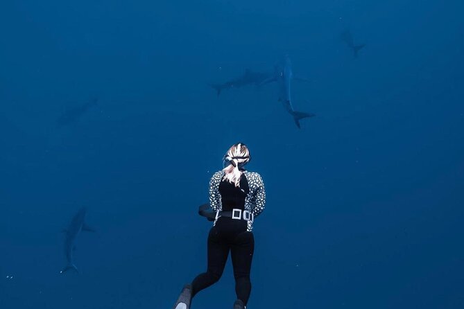 Shark Diving and Snorkeling in Oahu Hawaii - The trip out and the first minutes in the water
