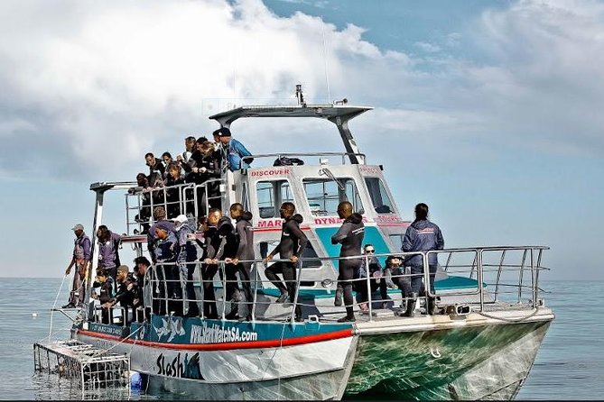 Shark Diving Full Day Guided Return Transfer to Gansbaai from Cape Town - What happens in Gansbaai