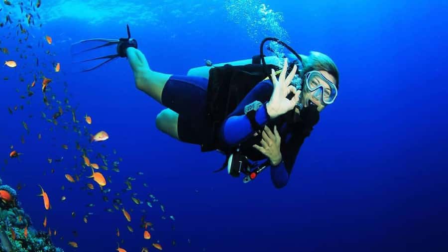 Sharm El-Sheikh: Guided Shore Scuba Diving at 2 Dives - Weather, postponements, and practical planning