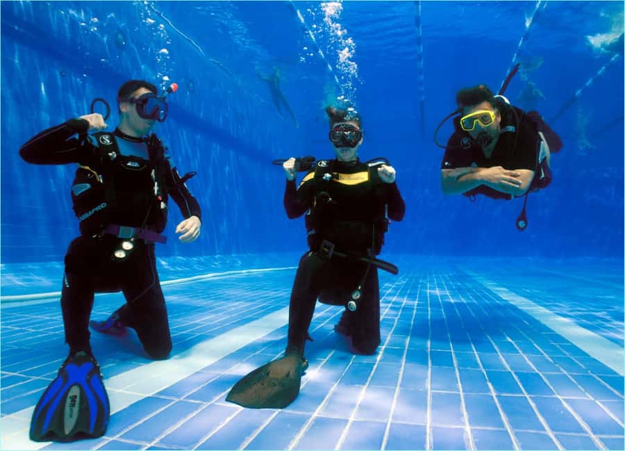 Sharm el Sheikh: PADI Diving Courses Package - Key points to know before booking