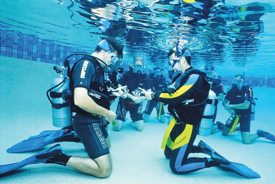 Sharm el Sheikh: PADI Diving Courses Package - The practical rhythm of a full course