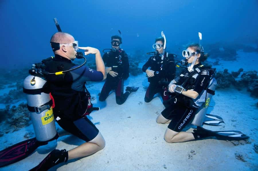 Sharm el Sheikh: PADI Diving Courses Package - Choosing between a trial lesson and the full three-day course