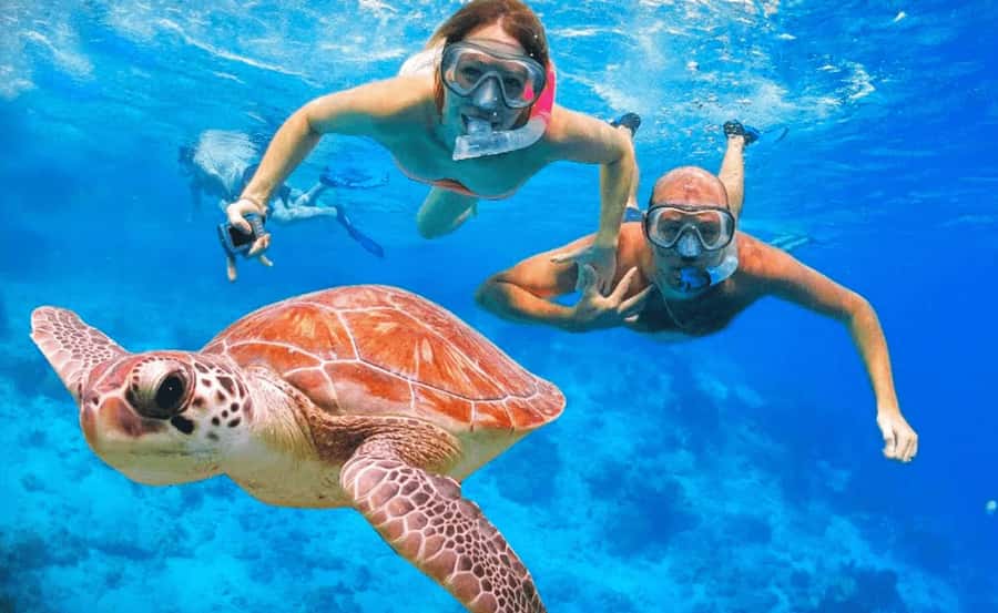 Sharm El Sheikh: Ras Mohamed & White Island Dive & Snorkel - A first scuba session for beginners