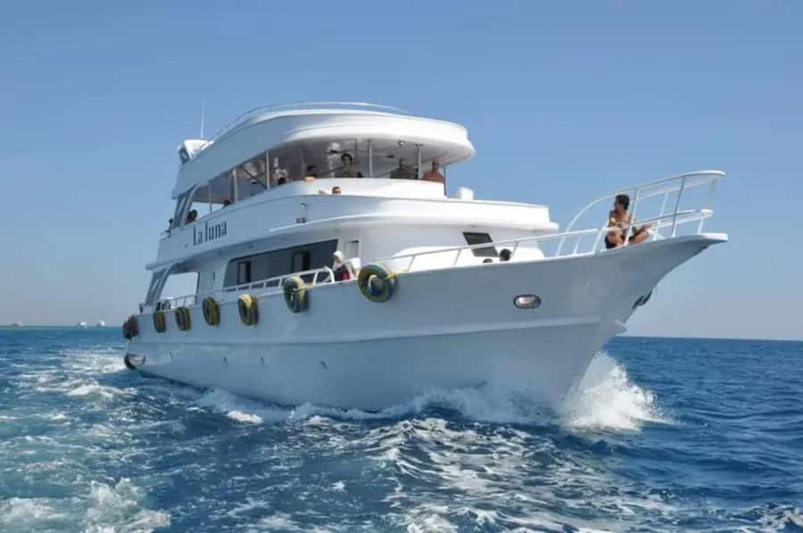 Sharm El Sheikh: Ras Mohamed & White Island Dive & Snorkel - How the crew handles nervous beginners