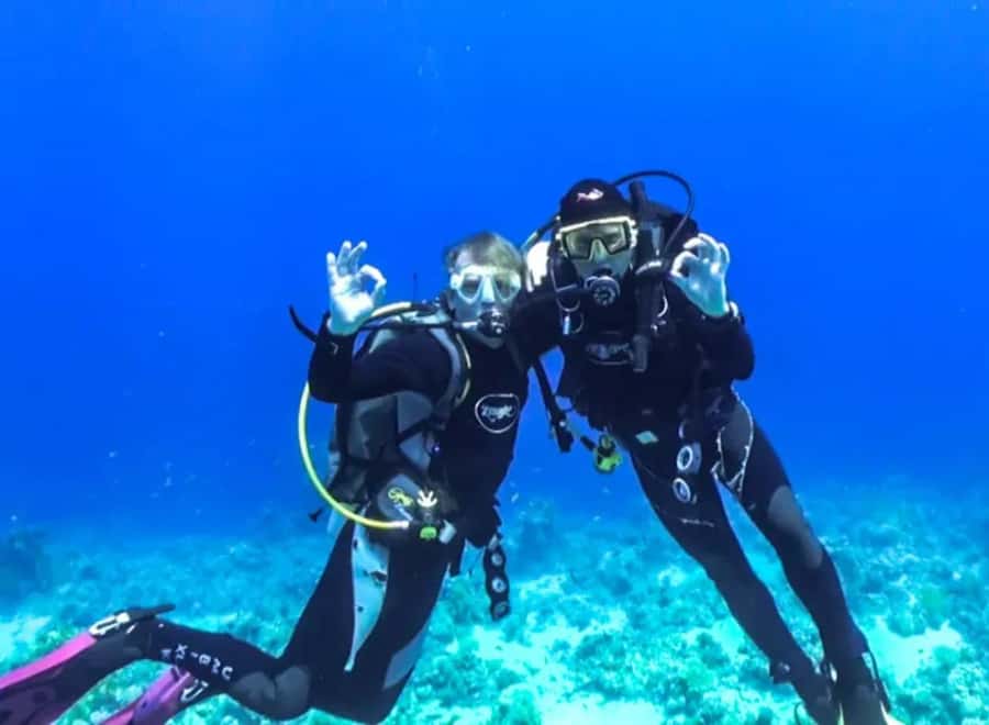 Sharm El Sheikh: Ras Mohamed & White Island Dive & Snorkel - Who should book this Ras Mohamed trip?