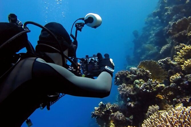 Sharm El Sheikh: Ras Mohamed, White Island, Snorkel and Diving - White Island is the relaxed highlight