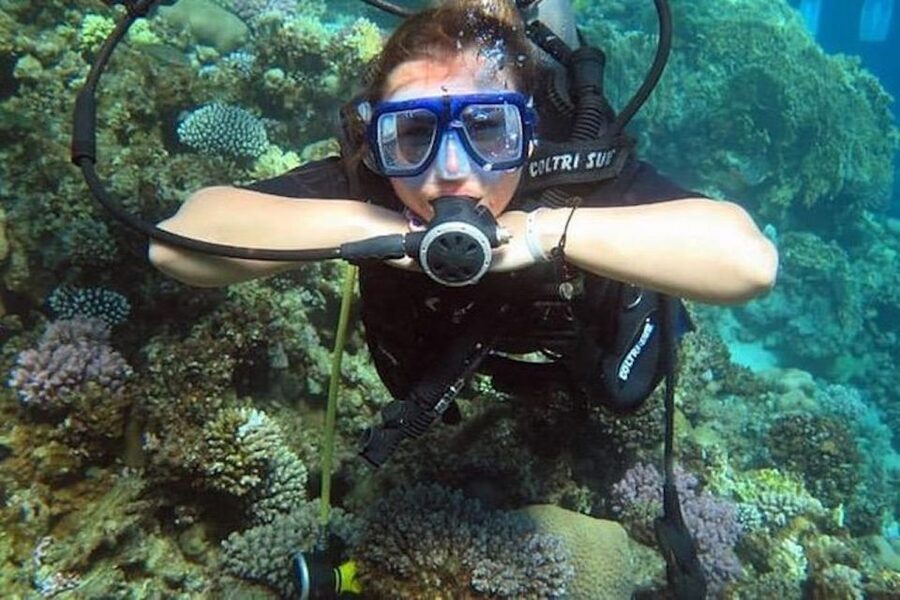 Sharm El Sheikh: Ras Mohamed & White Island Snorkel or Dive - Why Ras Mohamed makes a strong day at sea