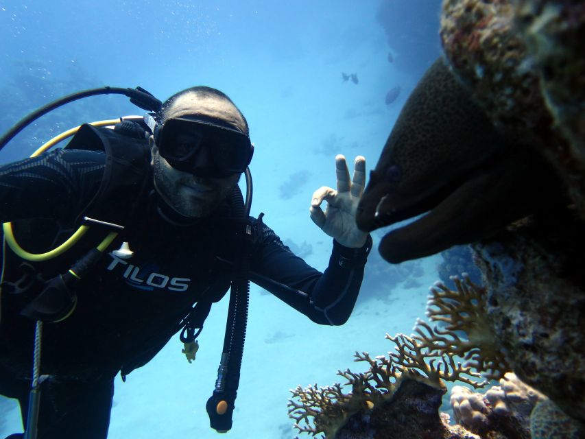 Sharm El Sheikh: Ras Mohamed & White Island Snorkel or Dive - What the $18 price really means