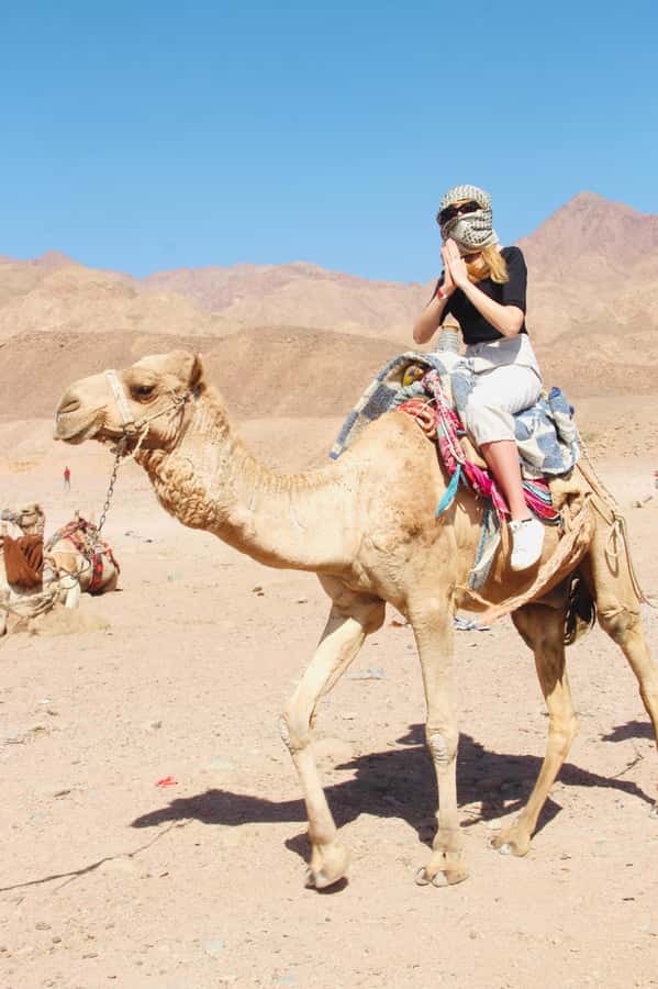 Sharm El Sheikh: Red Sea Scuba Diving Experience - How the $45 Price Holds Up