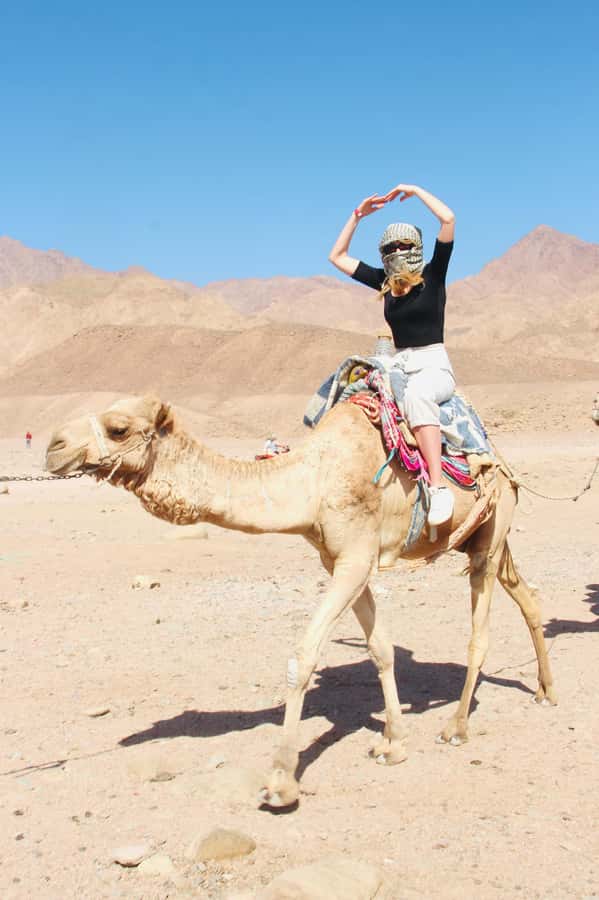Sharm El Sheikh: Red Sea Scuba Diving Experience - What to Bring and What to Expect on the Day