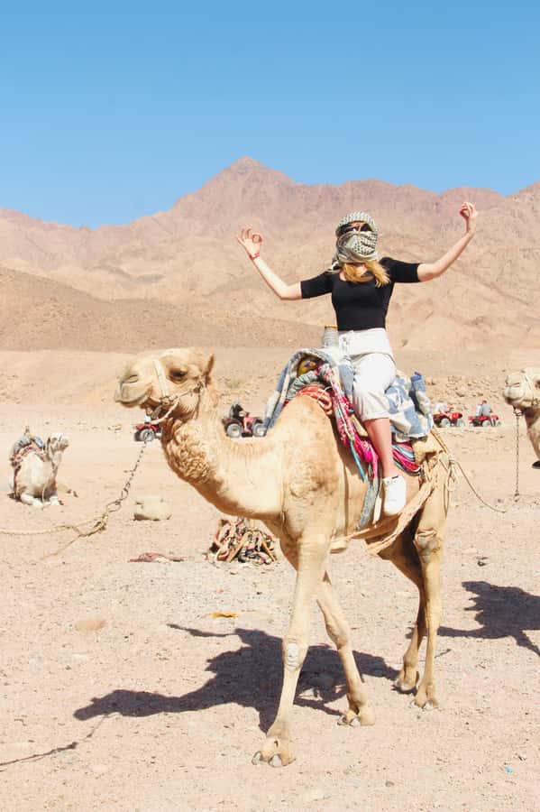 Sharm El Sheikh: Red Sea Scuba Diving Experience - Who Will Enjoy This Red Sea Experience