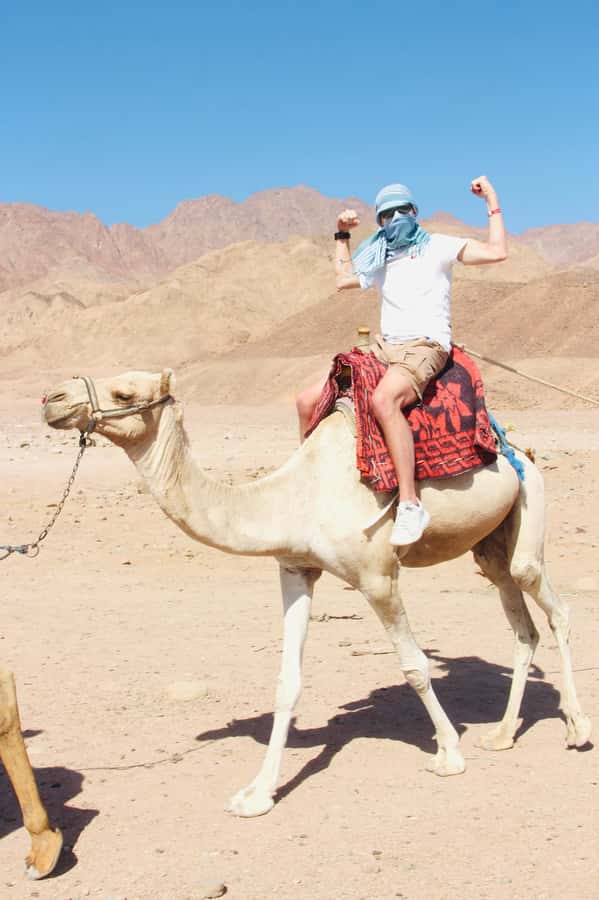 Sharm El Sheikh: Red Sea Scuba Diving Experience - Should You Book Sinai Scuba Diving Centre?