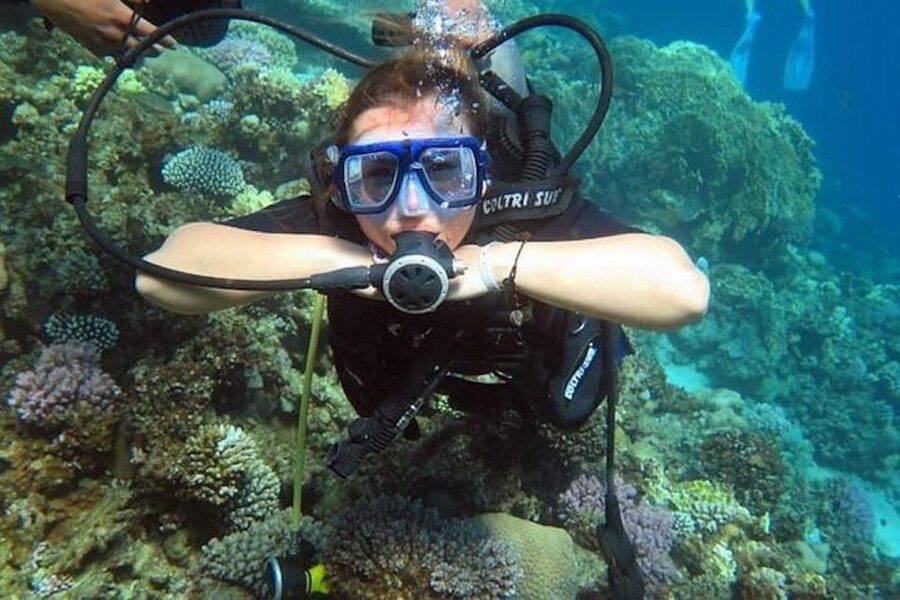 Sharm: Introductory Dive from the Shore & PADI Courses - From shallow-water practice to an 18-meter certificate