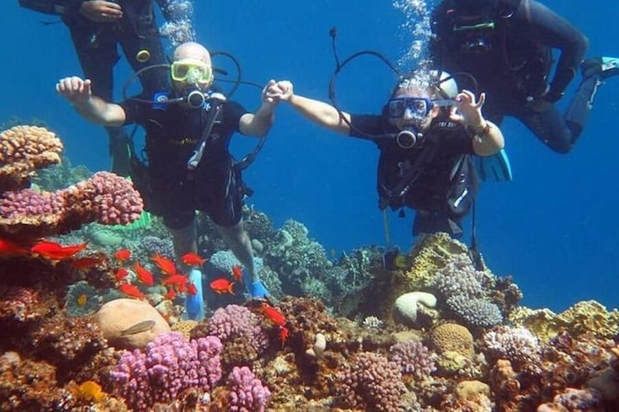 Sharm: Introductory Dive from the Shore & PADI Courses - Who should take the PADI Open Water course?