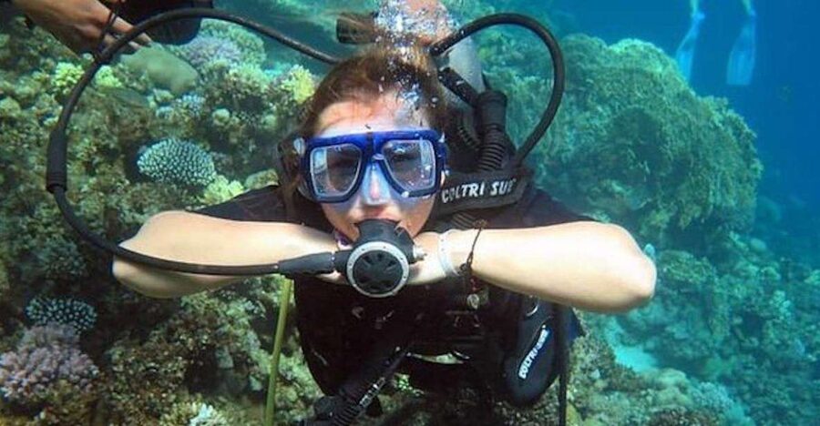 Sharm: Introductory Dive from the Shore & PADI Courses - What happens during the $47 introductory session