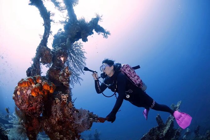 Shipwreck Diving in Tulamben - What the $150 price really covers