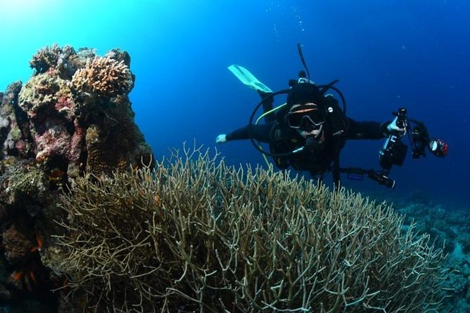 Shore Certified Diving - Two Dives - Booking, weather, and cancellation rules