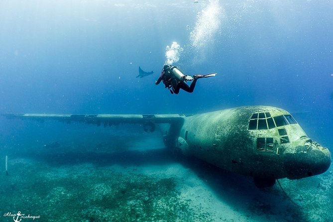 Shore Certified Diving - Two Dives - What the four-and-a-half-hour schedule feels like
