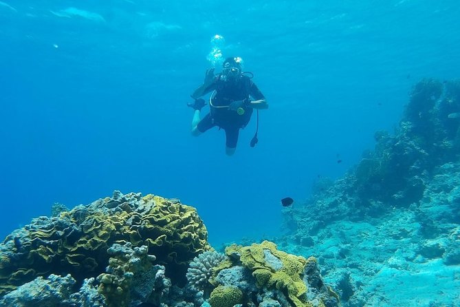 Shore Discover SCUBA Diving/Introductory Diving - One Dive - Beginning at Aqaba Sharks Bay Divers