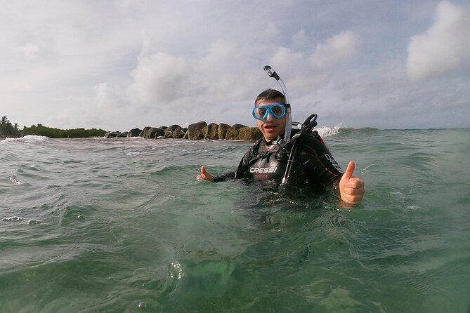 Shore Dive Aruba for Certified Divers - Marine life and underwater attention