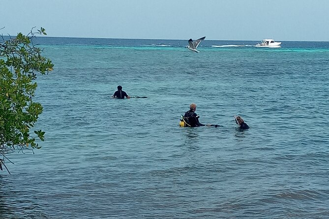 Shore Dive Aruba for Certified Divers - Who will enjoy this shore scuba outing