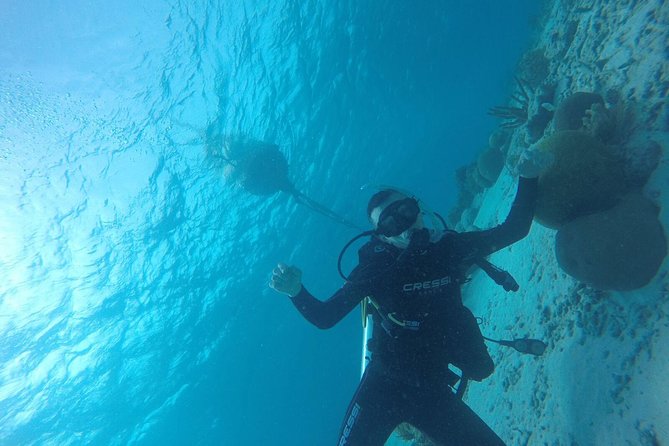 Shore Dive Aruba for Certified Divers - Choosing among Mangel Halto Reef, The Hole in the Wall, and Santo Largo