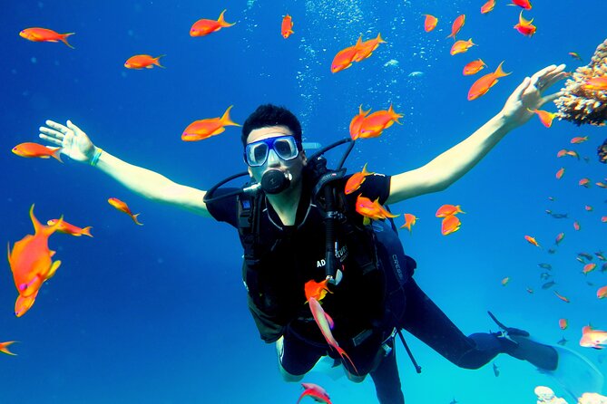 Shore Dives in Sharm El Sheikh Red Sea - What the $40 price includes