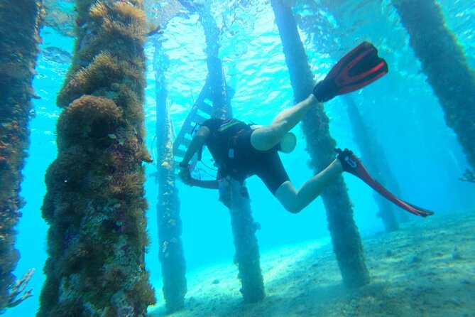 Shore PADI SCUBA Open Water Course - The second stage: confined-water practice