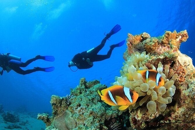 Side /Manavgat : Underwater Museum Scuba Diving w/ Lunch Transfer - Why beginners may find this a good first attempt