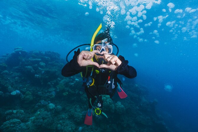 Side Scuba Diving for Beginners with Lunch and Transfers - Key points to know before booking